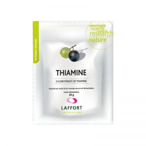thiamine 20g